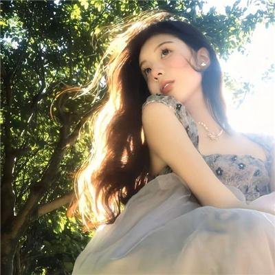 鬣狗之路